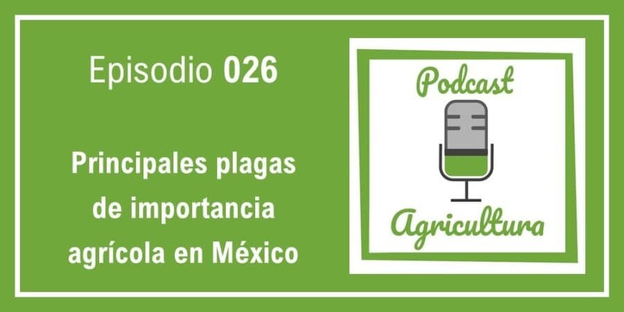 Episodio 026: Principales plagas de importancia agrícola en México