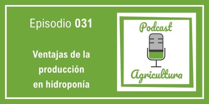 031 Ventajas de la producción en hidroponía