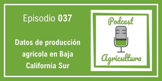 037 Datos de producción agrícola en Baja California Sur