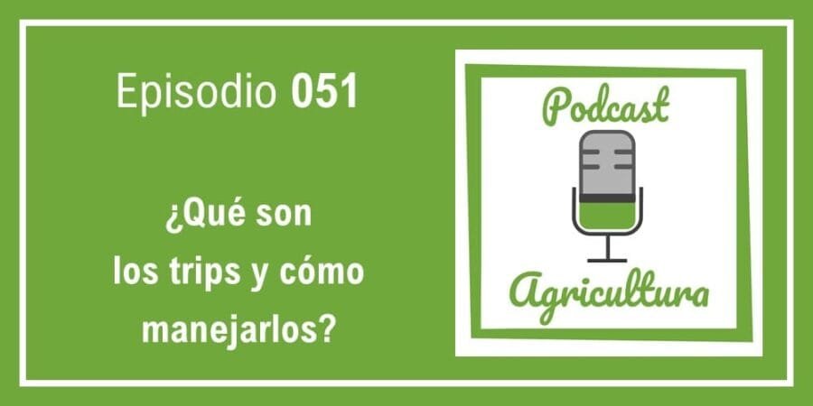 Episodio 051: ¿Qué son los trips y cómo manejarlos?