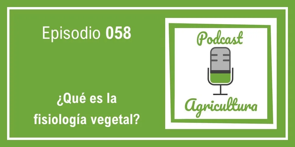 ¿Qué es la fisiología vegetal?