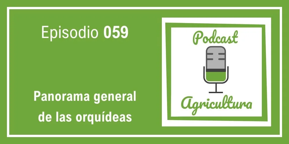 Episodio 059: Panorama general de las orquídeas