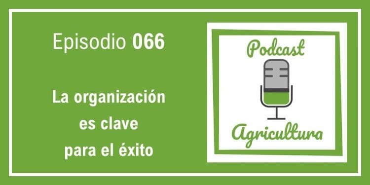 066 La organización es clave para el éxito
