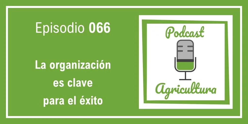 Episodio 066: La organización es clave para el éxito