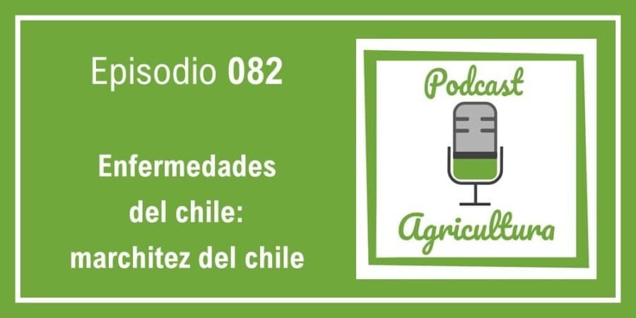 Episodio 082: Enfermedades del chile: marchitez del chile