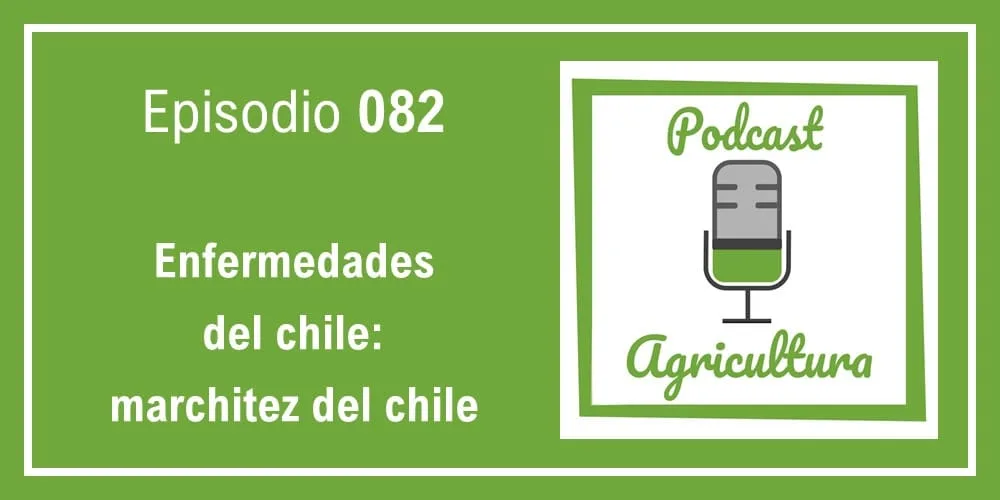 Episodio 082: Enfermedades del chile: marchitez del chile