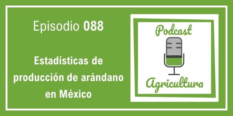 Episodio 088: Estadísticas de producción de arándano en México
