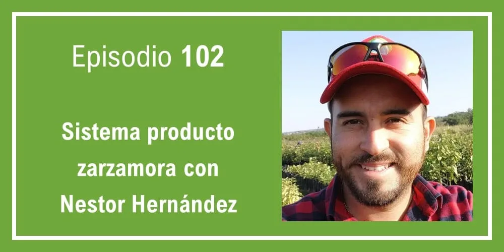 Episodio 102: Sistema producto zarzamora con Nestor Hernández