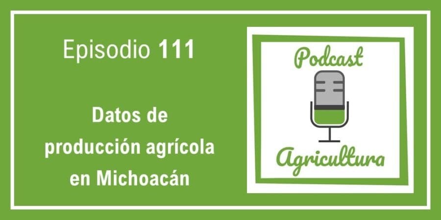 Episodio 111: Datos de producción agrícola en Michoacán