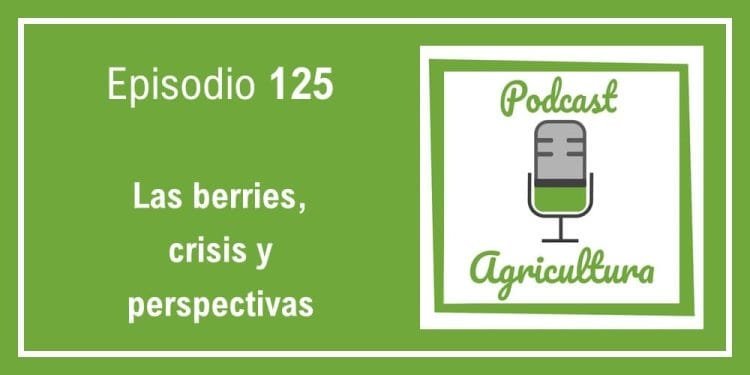 125 Las berries, crisis y perspectivas