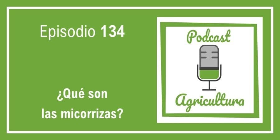 Episodio 134: ¿Qué son las micorrizas?