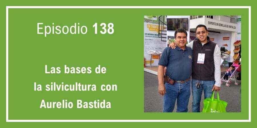 Episodio 138: Las bases de la silvicultura con Aurelio Bastida