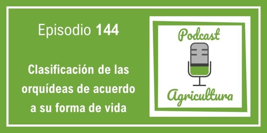 Episodio 144: Clasificación de las orquídeas de acuerdo a su forma de vida