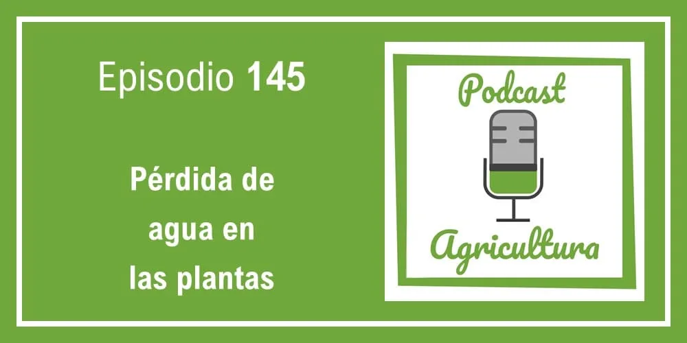 Episodio 145: Pérdida de agua en las plantas