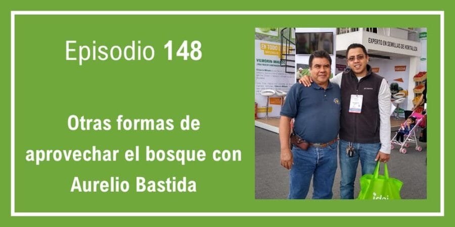 Episodio 148: Otras formas de aprovechar el bosque con Aurelio Bastida