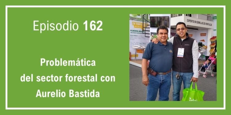 162 Problemática del sector forestal con Aurelio Bastida