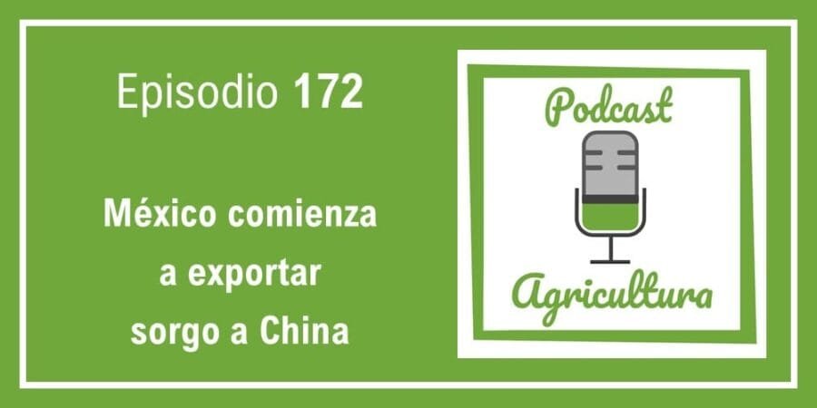 Episodio 172: México comienza a exportar sorgo a China