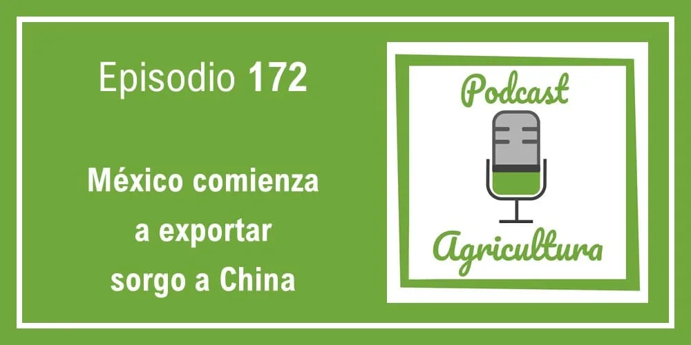 Episodio 172: México comienza a exportar sorgo a China