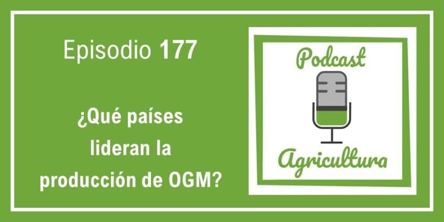 Episodio 177: ¿Qué países lideran la producción de OGM?