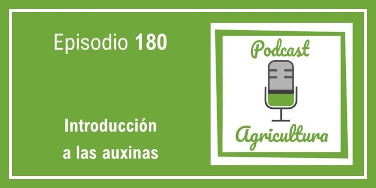 180 Introducción a las auxinas