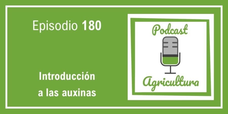 Episodio 180: Introducción a las auxinas