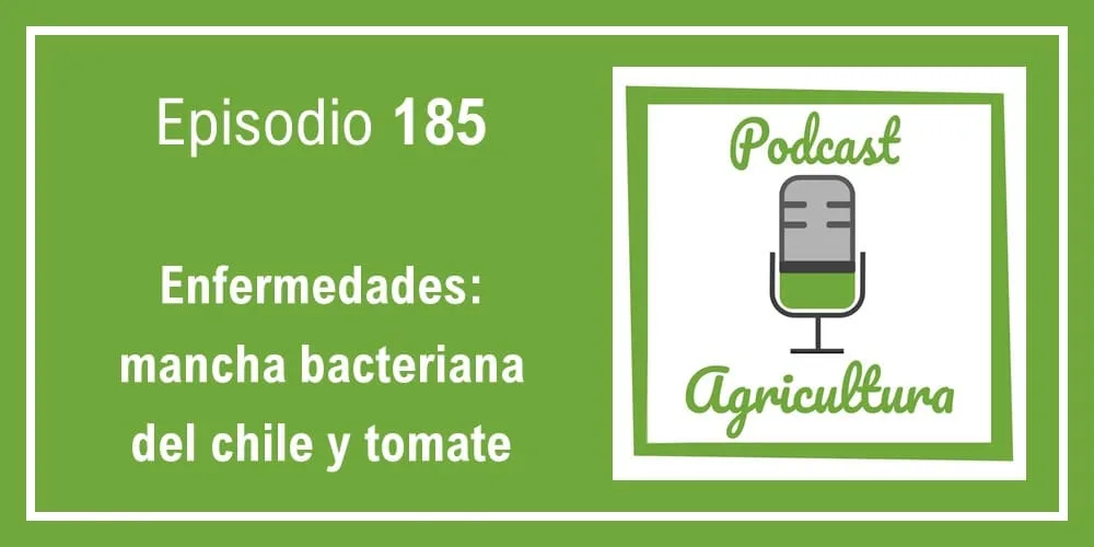 Episodio 185: Enfermedades: mancha bacteriana del chile y tomate