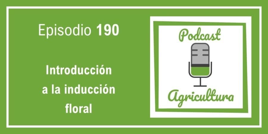 Episodio 190: Introducción a la inducción floral