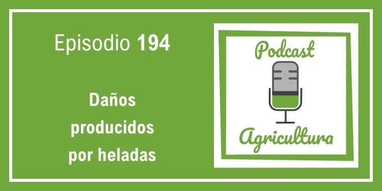 194 Daños producidos por heladas