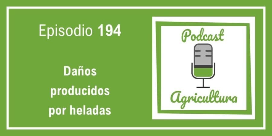 Episodio 194: Daños producidos por heladas