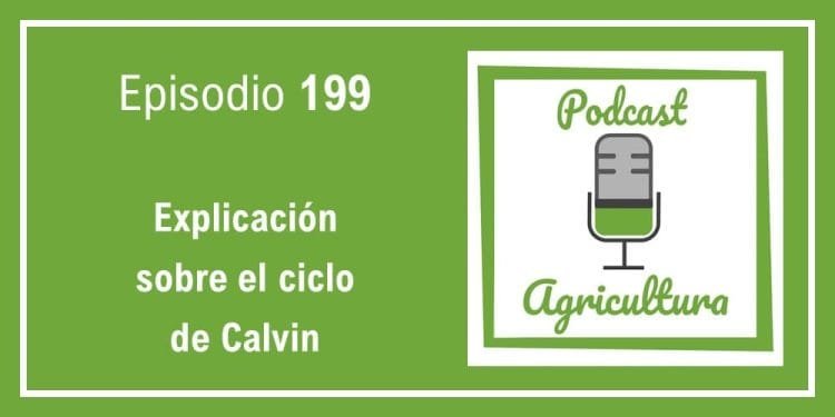 199 Explicación sobre el ciclo de Calvin