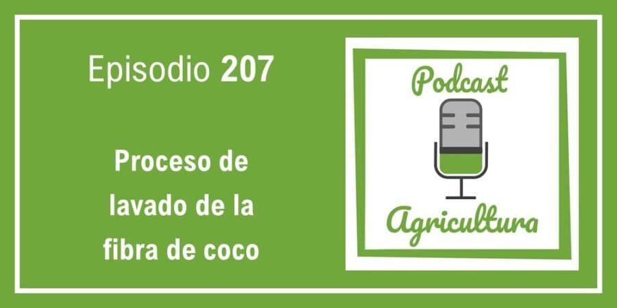 Episodio 207: Proceso de lavado de la fibra de coco