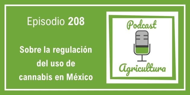 208 Sobre la regulación del uso de cannabis en México