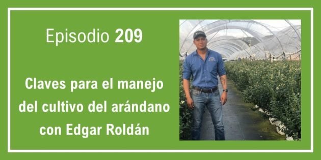 209 Claves para el manejo del cultivo del arándano con Edgar Roldán