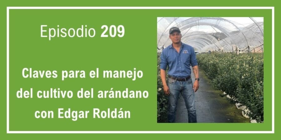 Episodio 209: Claves para el manejo del cultivo del arándano con Edgar Roldán