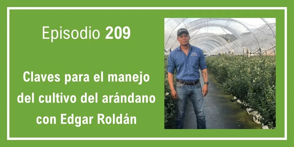 Episodio 209: Claves para el manejo del cultivo del arándano con Edgar Roldán