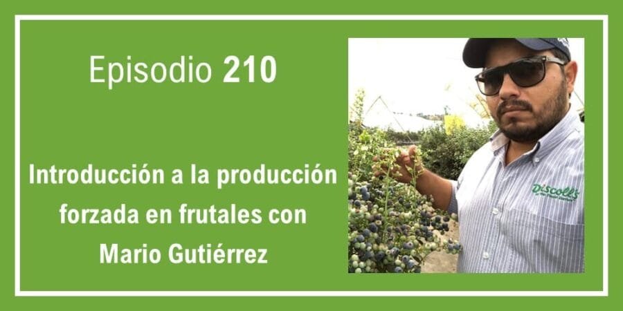 Episodio 210: Introducción a la producción forzada en frutales con Mario Gutiérrez