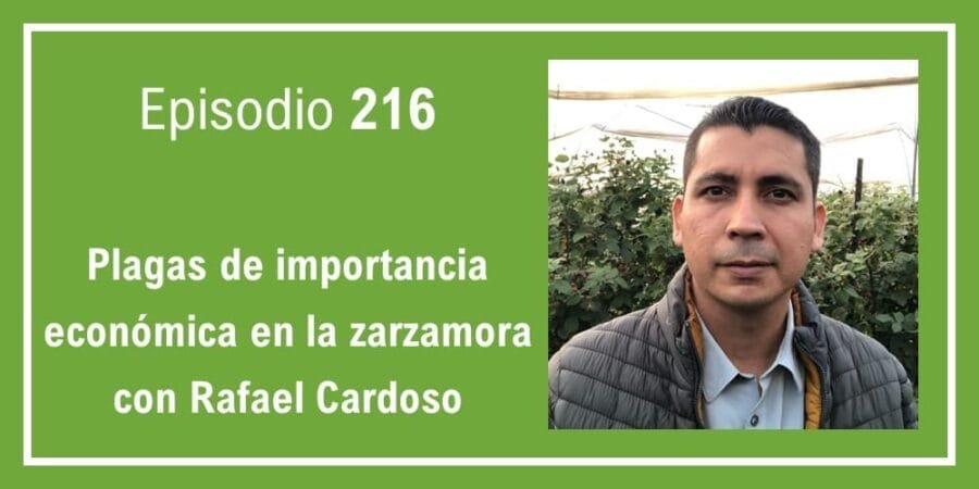 Episodio 216: Plagas de importancia económica en la zarzamora con Rafael Cardoso