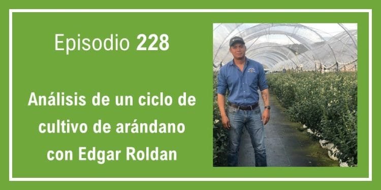 228 Análisis de un ciclo de cultivo de arándano con Edgar Roldan