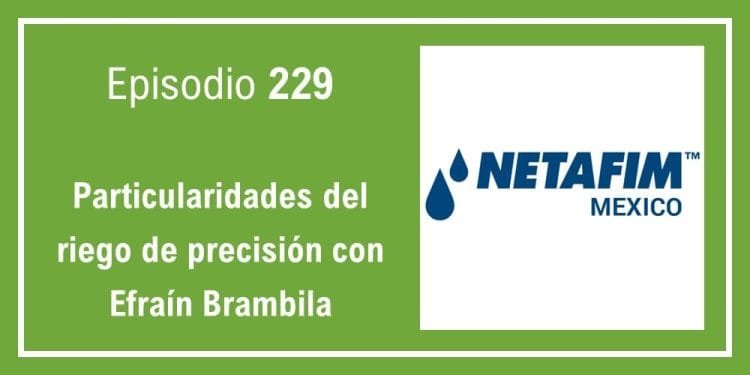 229 Particularidades del riego de precisión con Efraín Brambila