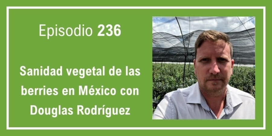 Episodio 236: Sanidad vegetal de las berries en México con Douglas Rodríguez