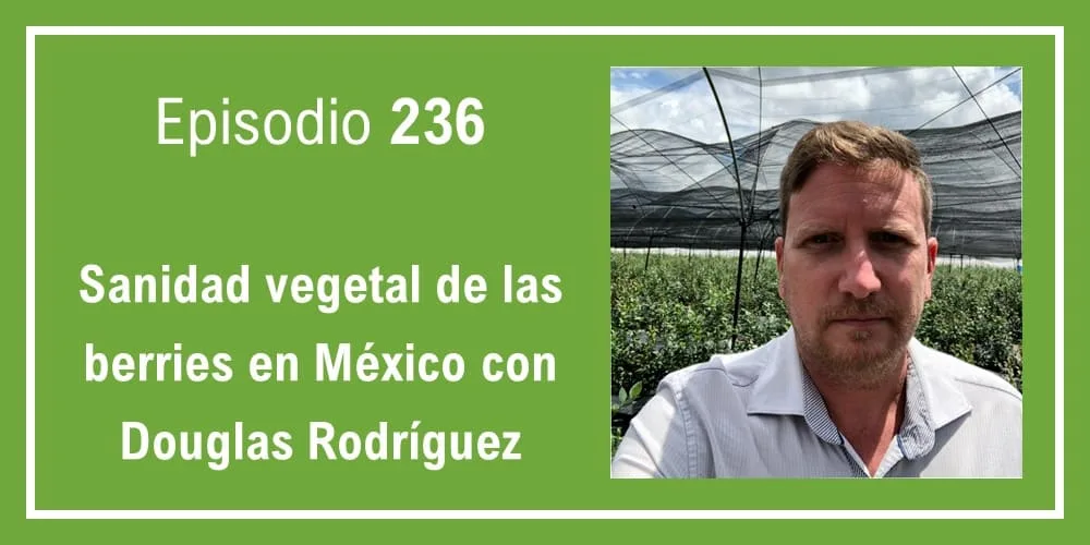 Episodio 236: Sanidad vegetal de las berries en México con Douglas Rodríguez