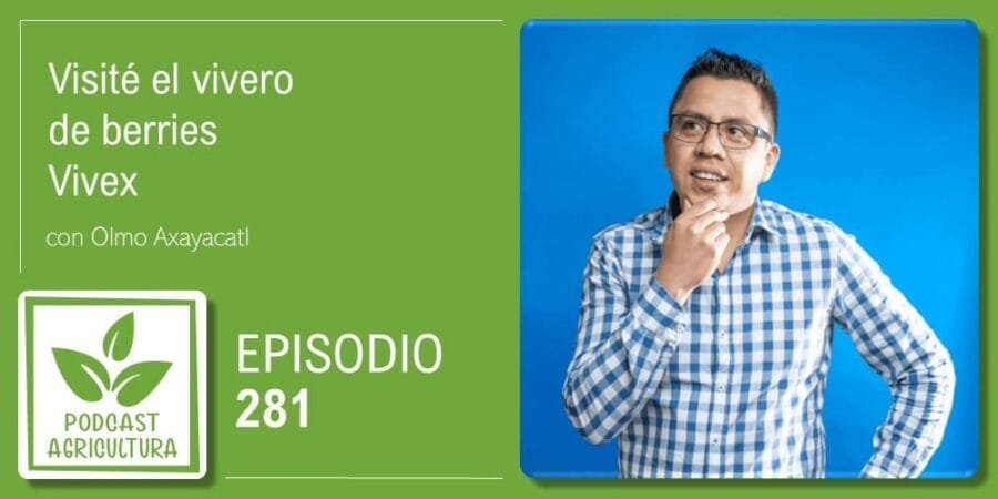 Episodio 281: Visité el vivero de berries Vivex