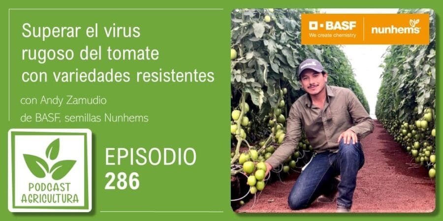Episodio 286: Superar el virus rugoso del tomate con variedades resistentes con Andy Zamudio