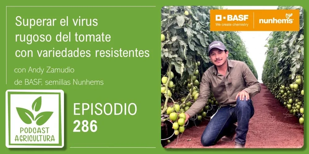 Episodio 286: Superar el virus rugoso del tomate con variedades resistentes con Andy Zamudio