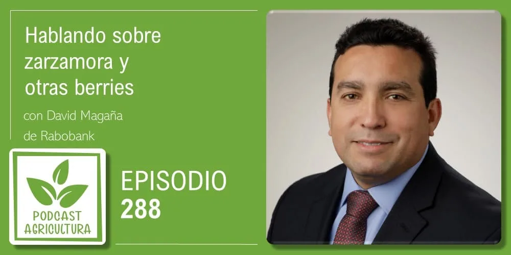 Episodio 288: Hablando sobre zarzamora y otras berries con David Magaña