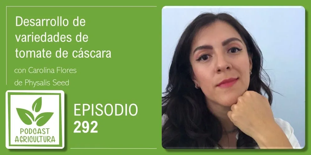 Episodio 292: Desarrollo de variedades de tomate de cáscara con Carolina Flores