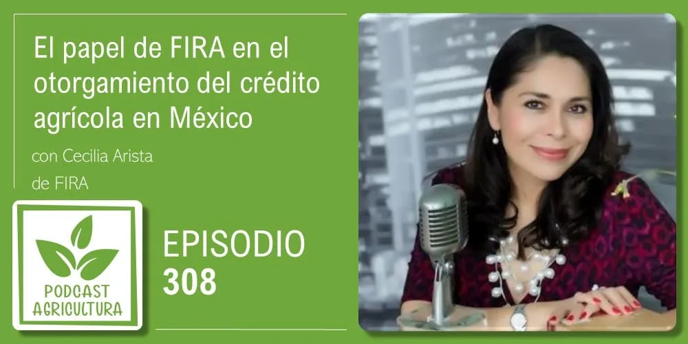 Episodio 308: El papel de FIRA en el otorgamiento del crédito agrícola en México con Cecilia Arista