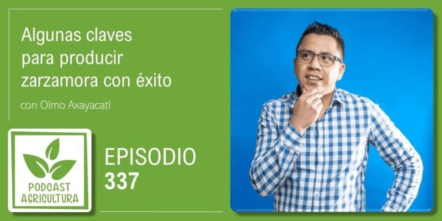 Episodio 337: Algunas claves para producir zarzamora con éxito