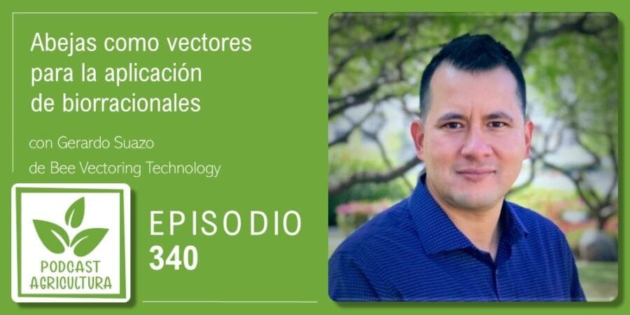 Episodio 340: Abejas como vectores para la aplicación de biorracionales con Gerardo Suazo