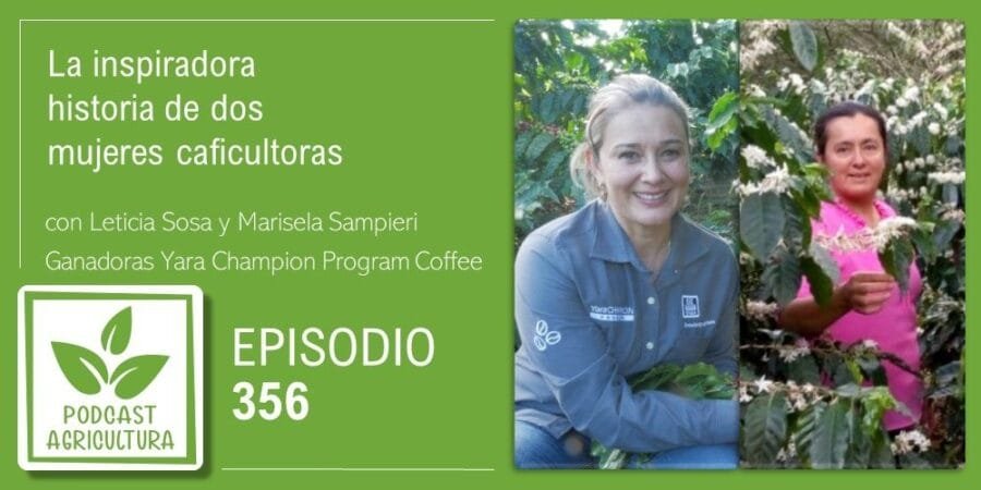 Episodio 356: La inspiradora historia de dos mujeres caficultoras con Leticia Sosa y Marisela Sampieri